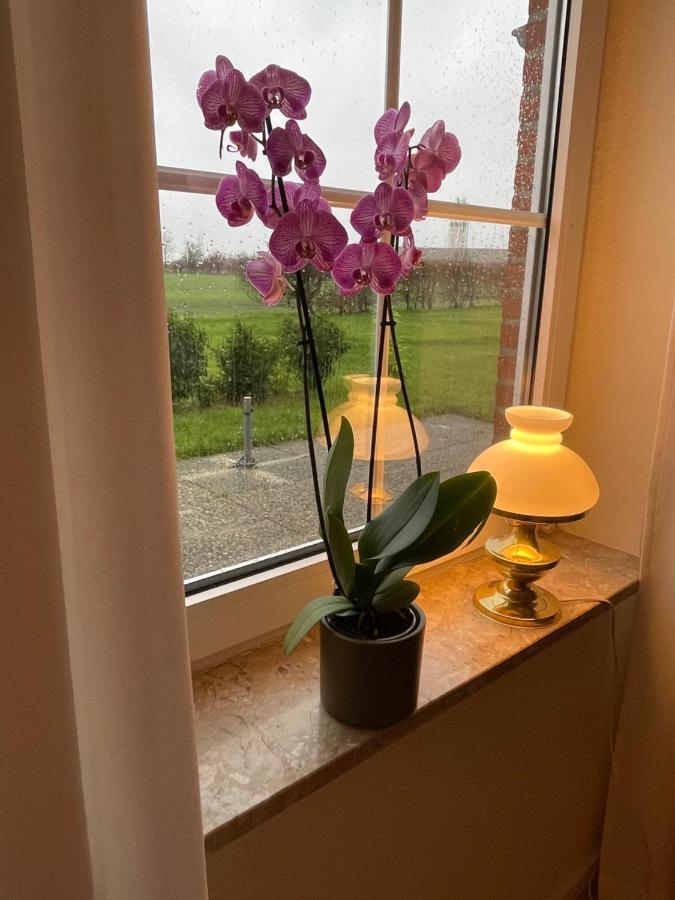 Meine Ferienwohnung Femern Eksteriør billede